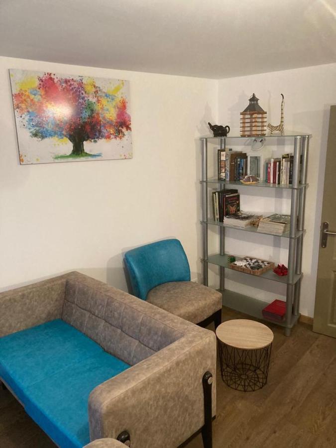 Appartement Plein Pied 45 M2 Baccarat Екстер'єр фото